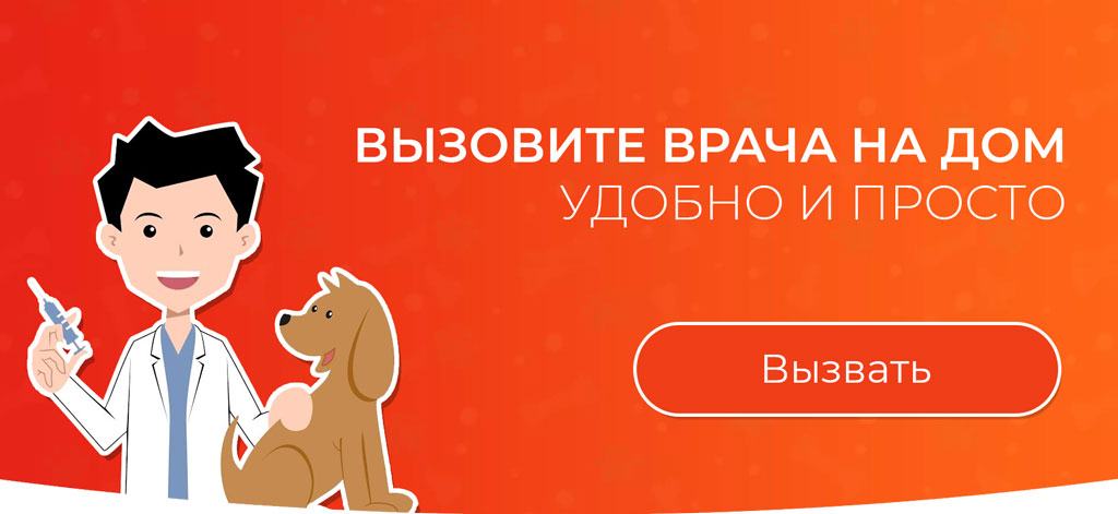 ВетДруг Казань